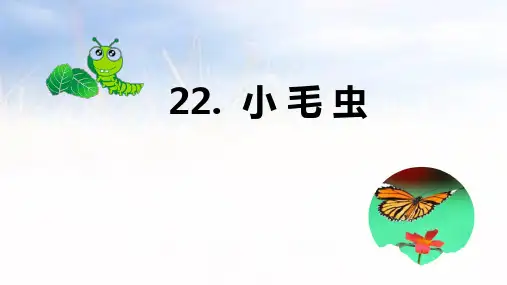 《小毛虫》ppt课件