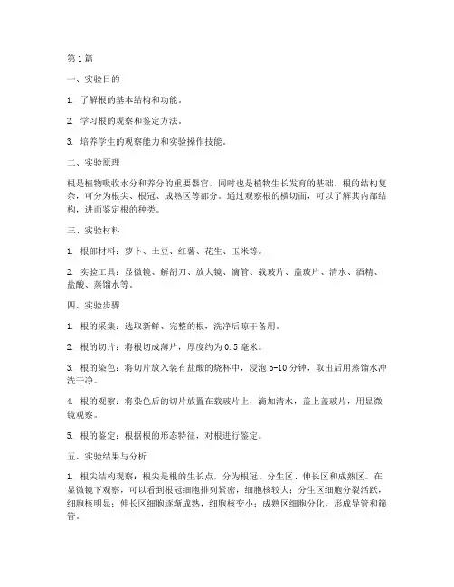植物学实验报告根(3篇)
