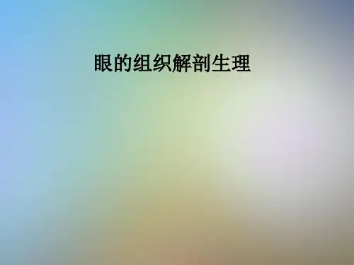 眼的组织解剖生理