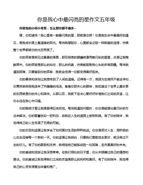 你是我心中最闪亮的星作文五年级