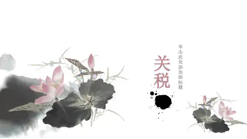 关税PPT课件