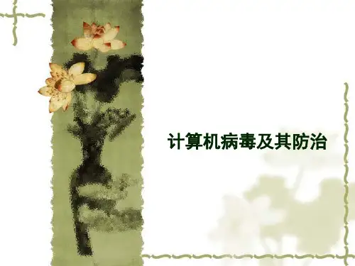 计算机病毒及其防治精品PPT课件
