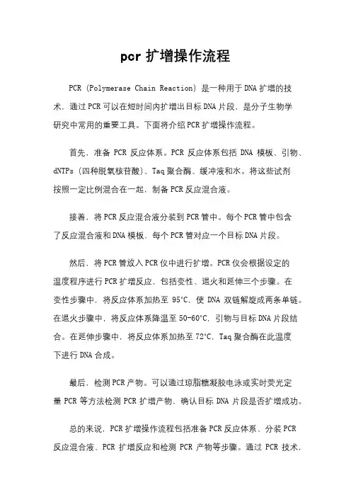 pcr扩增操作流程