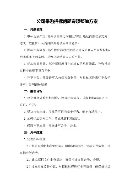 公司采购招标问题专项整治方案