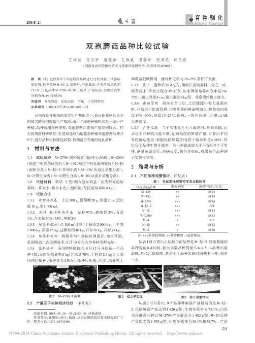 双孢蘑菇品种比较试验
