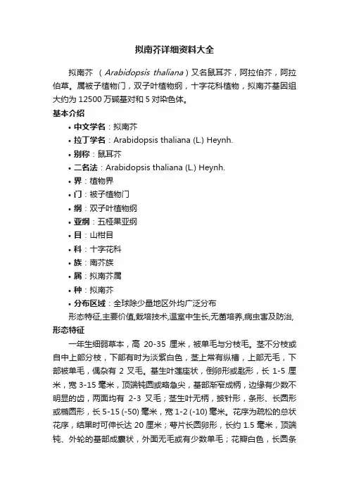 拟南芥详细资料大全