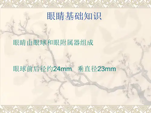 眼科基础知识【17页】