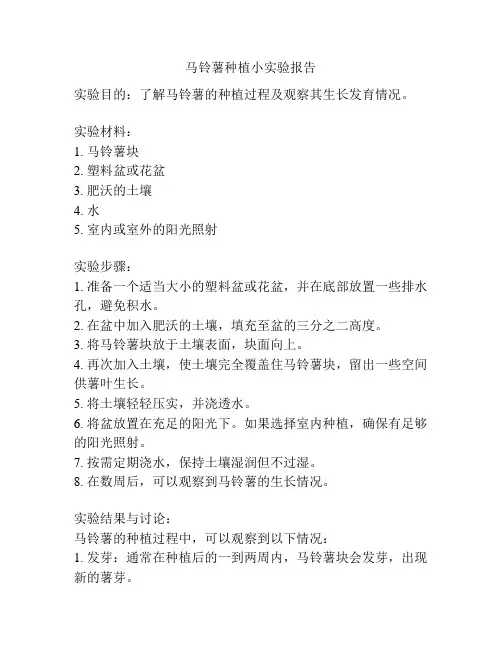 马铃薯种植小实验报告