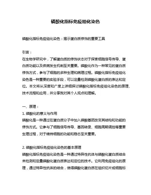 磷酸化指标免疫组化染色
