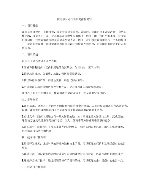 陇南项目可行性研究报告编写