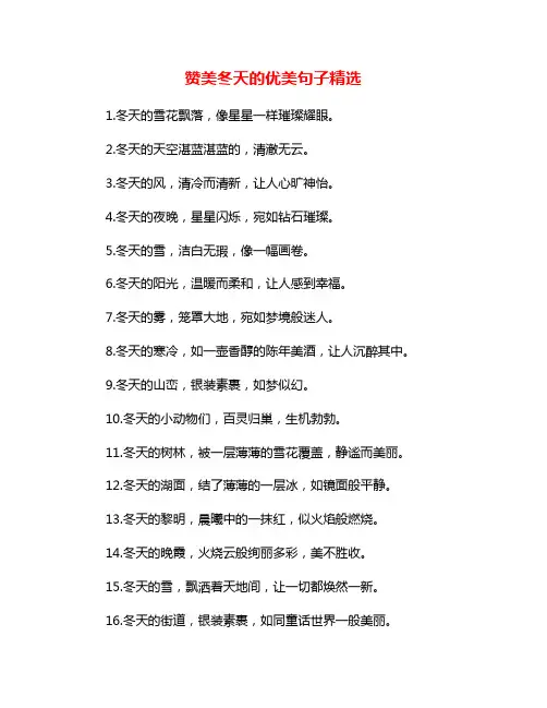 赞美冬天的优美句子精选