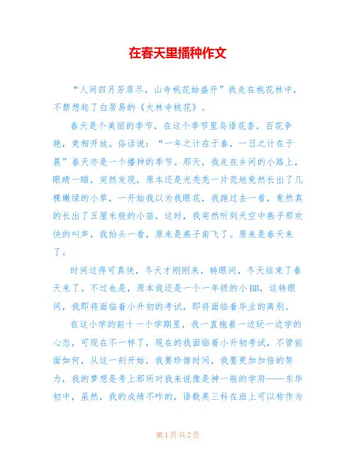 在春天里播种作文