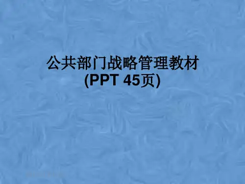 公共部门战略管理教材(PPT 45页)