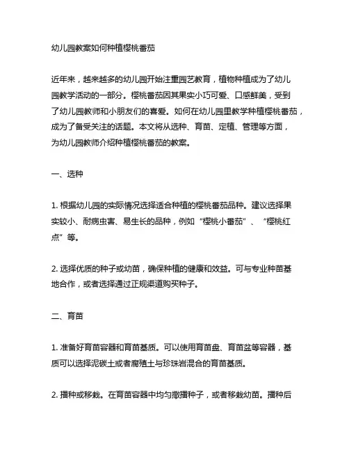 幼儿园教案如何种植樱桃番茄 幼儿园樱桃番茄种植