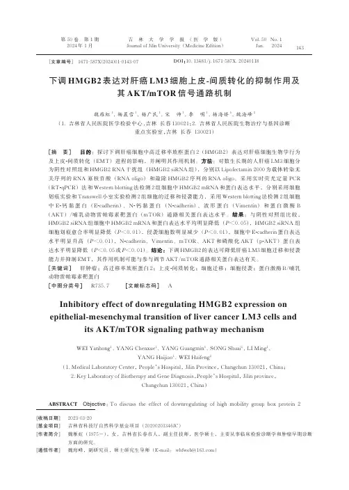 下调HMGB2表达对肝癌LM3细胞上皮-间质转化的抑制作用及其AKT