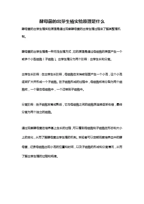 酵母菌的出芽生殖实验原理是什么