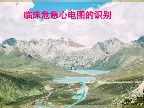 临床危急心电图的识别PPT课件