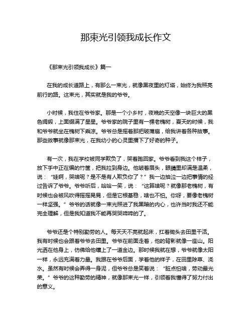 那束光引领我成长作文