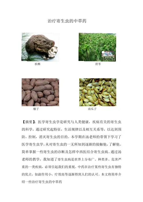 治疗寄生虫的中草药