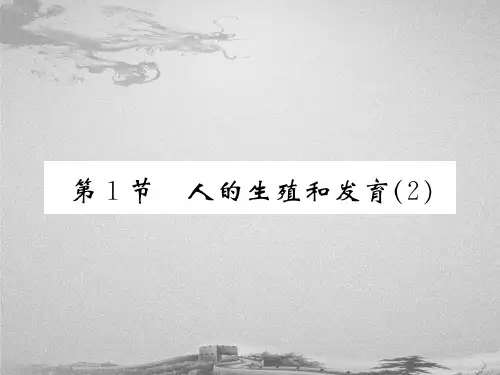 19.1 人的生殖和发育(2) 2020秋北师大版八年级上册生物课件