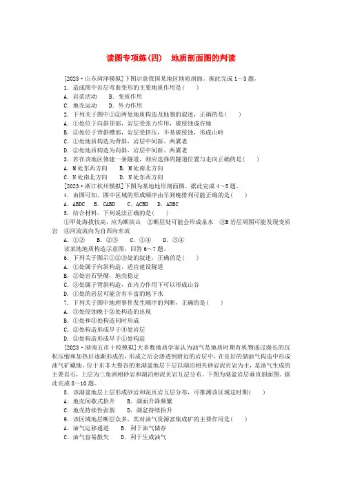 新教材高中地理读图专项练(四)地质剖面图的判读新人教版选择性必修
