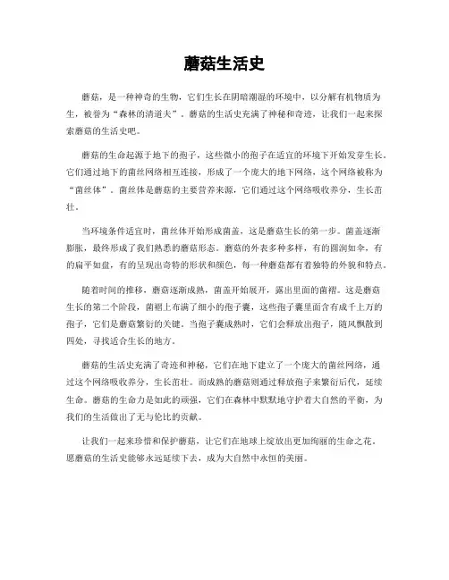 蘑菇生活史