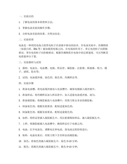 化学电泳实验报告