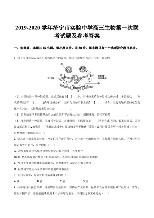 2019-2020学年济宁市实验中学高三生物第一次联考试题及参考答案