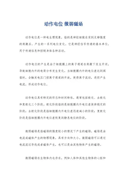 动作电位 微弱磁场