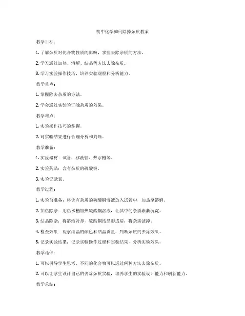 初中化学如何除掉杂质教案
