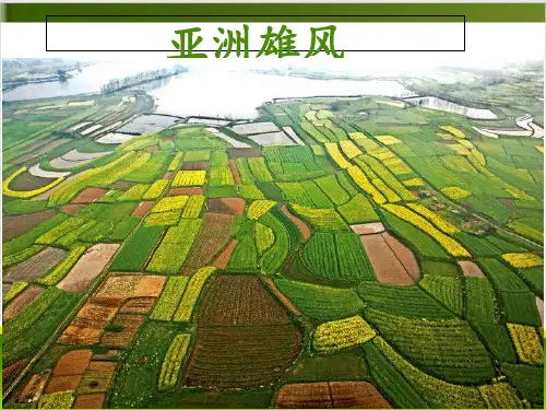 人教版地理课件《自然环境》精品课件1