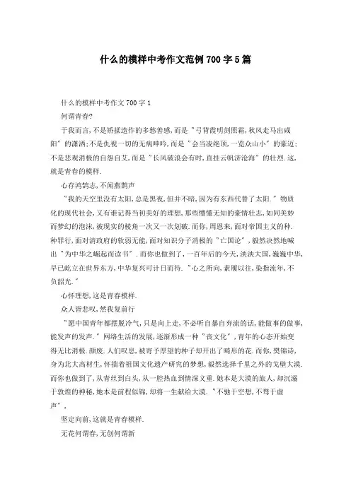 什么的模样中考作文范例700字5篇