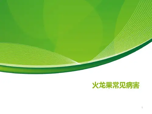 火龙果常见病害ppt课件