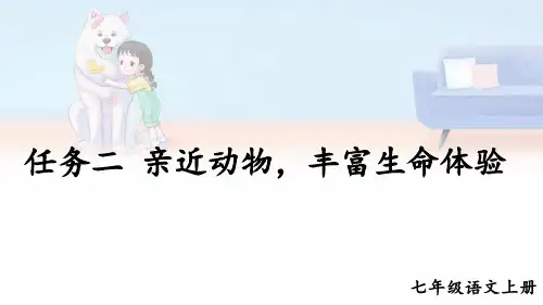 初中语文新人教部编版七年级上册第五单元任务二《亲近动物,丰富生命体验》教学课件(2024秋)