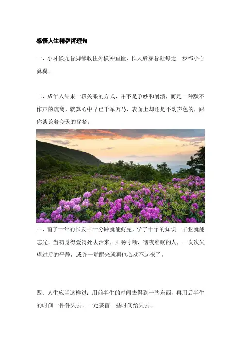 感悟人生精辟哲理句