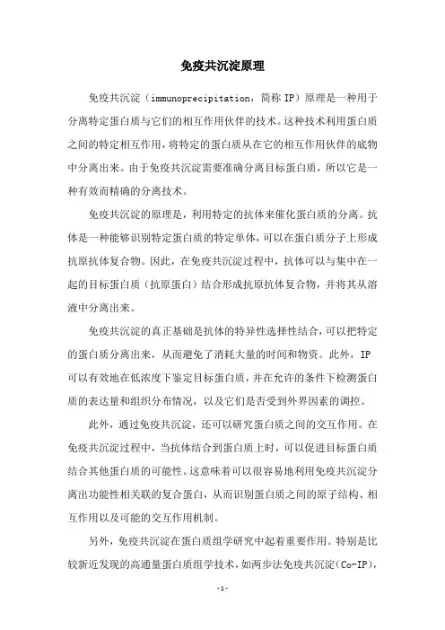 免疫共沉淀原理