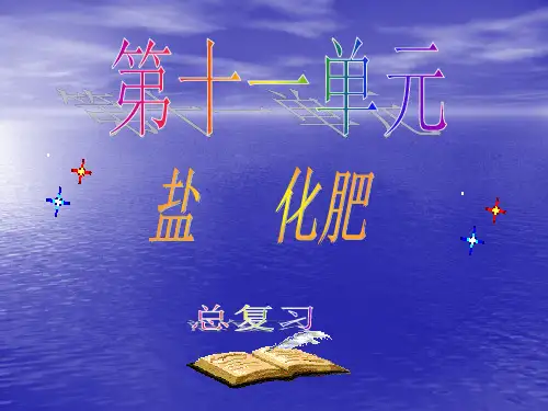第十一单元《盐_化肥》单元复习课件3