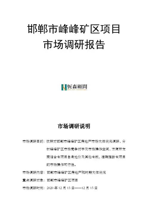 恒森顾问邯郸市峰峰矿区项目市场调研报告