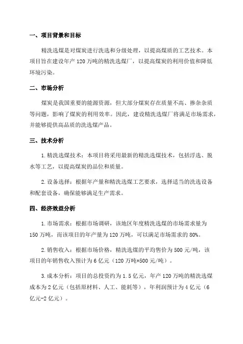 年产120万吨精洗选煤厂建设项目可行性实施报告