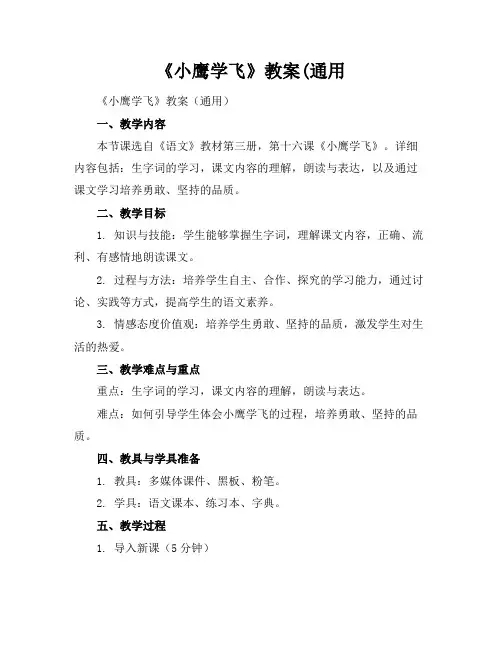 《小鹰学飞》教案(通用