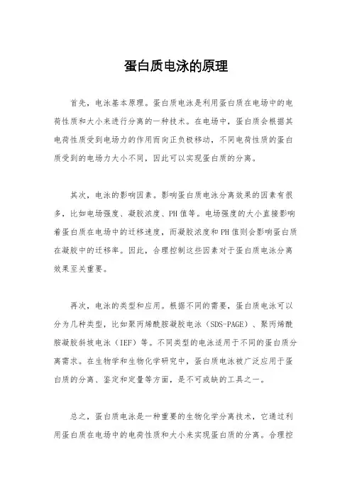 蛋白质电泳的原理