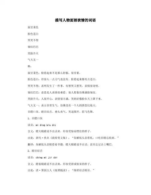 描写人物面部表情的词语