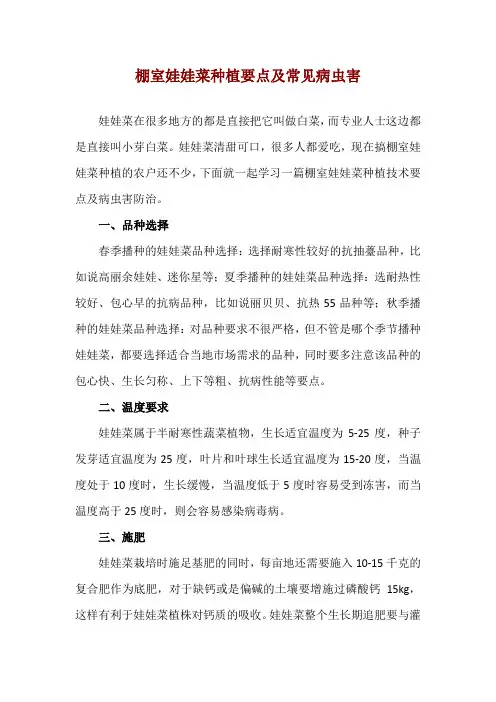 棚室娃娃菜种植要点及常见病虫害