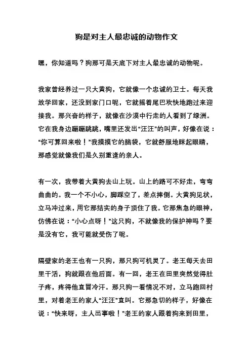 狗是对主人最忠诚的动物作文