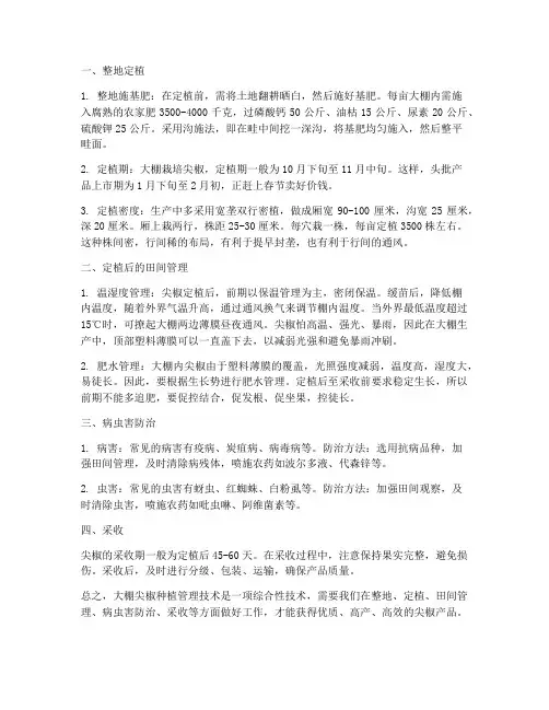 大棚尖椒种植管理技术