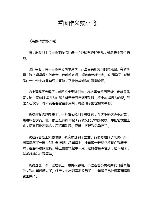 看图作文救小鸭