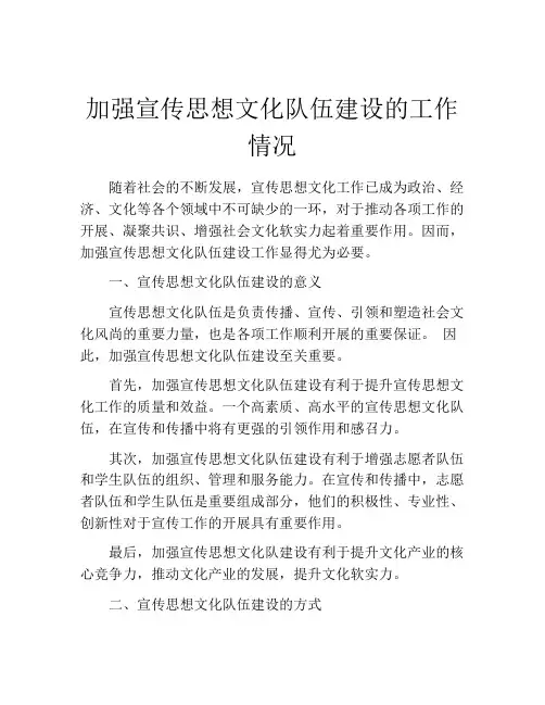 加强宣传思想文化队伍建设的工作情况