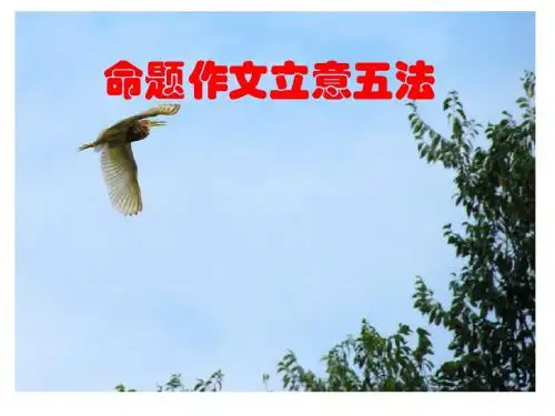 命题作文的立意