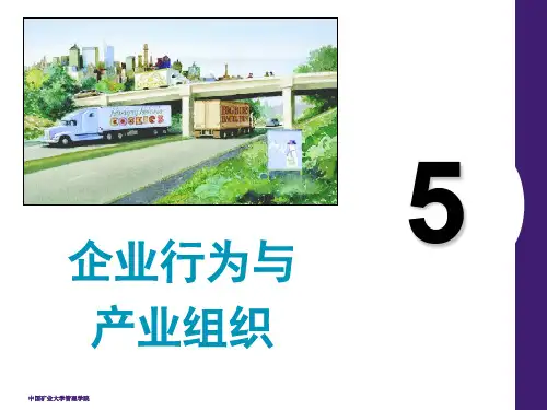 第14章垄断.ppt