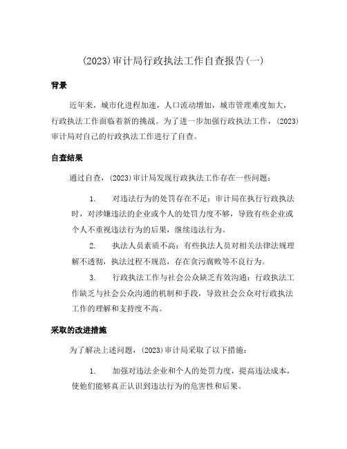(2023)审计局行政执法工作自查报告(一)